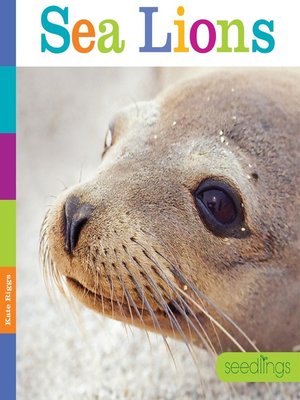 cover image of Sea Lions